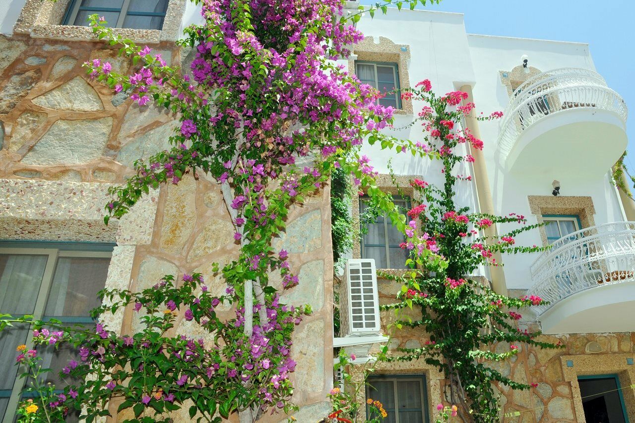 Siesta Beach Apartment Бодрум Екстер'єр фото